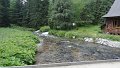 DSC03264 00